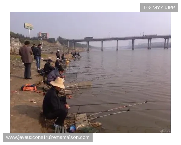 无论新手还是老手，使用PA捕鱼网的实战技巧与经验